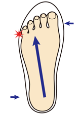 足の図